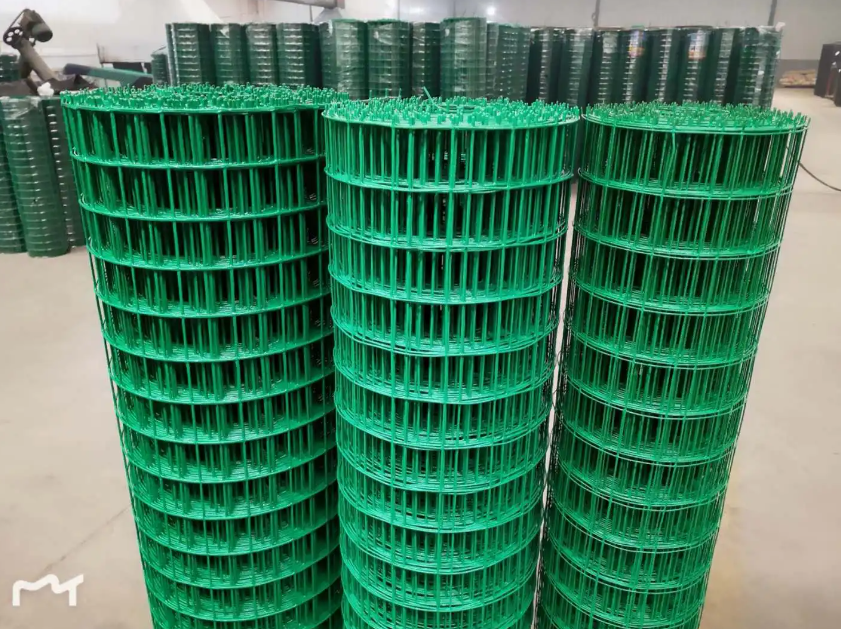 阜城荷兰网